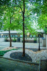 two trees in a park in front of a building at H41 Luxury Suites in Belgrade