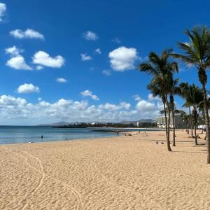 een zandstrand met palmbomen en de oceaan bij Hotel Diamar in Arrecife