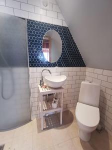 a bathroom with a sink and a toilet and a mirror at Birkevang The Silo - Rural refuge in Faxe