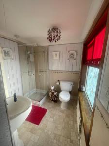 a bathroom with a toilet and a shower and a sink at Redwood Lodge in Westbury