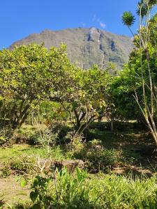 a mountain in the distance with trees in the foreground at Le Jaboticaba in Salazie