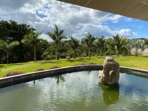 une piscine d'eau dans un parc planté de palmiers dans l'établissement Green Creek Villa, à Flic-en-Flac