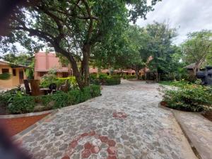 une cour avec un arbre et une passerelle en pierre dans l'établissement Villa Rose, à Bobo-Dioulasso