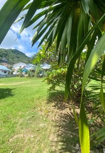 a green field with a palm tree in the foreground at Karon House 15C in Karon Beach