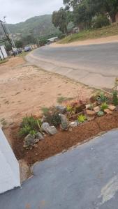 a flower garden on the side of a road at The Unit Party House in eNyalungu