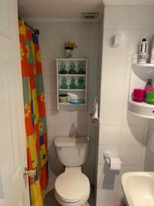 La petite salle de bains est pourvue de toilettes et d'un lavabo. dans l'établissement Hermoso Depto Jardines, à Rancagua