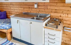 Il comprend une cuisine équipée d'un évier et d'une cuisinière. dans l'établissement Cozy Home In Ambjrnarp With Kitchen, à Ambjörnarp