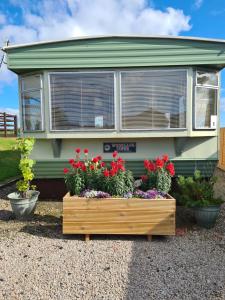 Zahrada ubytování Rowanlea Caravan