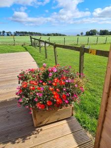 a wooden deck with a flower box on a fence at Rowanlea Caravan in Stonehaven