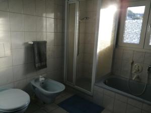 a bathroom with a toilet and a shower and a sink at Fewo1926 in Mertesdorf