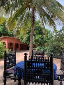 a table and chairs sitting under a palm tree at The Gunjur Project Lodge in Gunjur