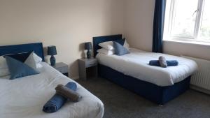 a bedroom with two beds with blue pillows at Rosemoor view. in Great Torrington