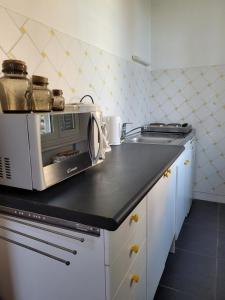 a kitchen with a toaster oven and a microwave at Studio19 in Clermont-Ferrand
