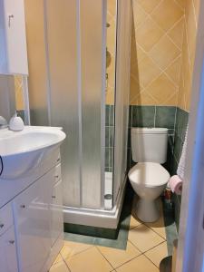 La petite salle de bains est pourvue d'une douche et de toilettes. dans l'établissement Studio19, à Clermont-Ferrand