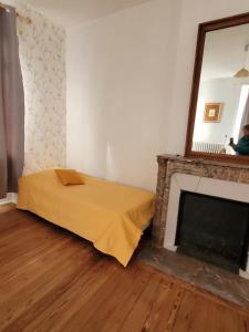 a room with a fireplace with a bed and a mirror at Studio19 in Clermont-Ferrand