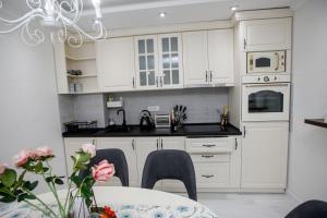 Kuhinja ili čajna kuhinja u objektu Apartman MDB RETRO