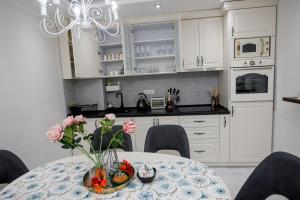 Kuhinja ili čajna kuhinja u objektu Apartman MDB RETRO