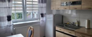 una cucina con frigorifero, lavandino e finestra di Apartmán DANY Hanušovice a Hanušovice