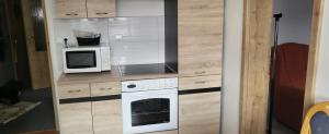 Kuchyň nebo kuchyňský kout v ubytování Apartmán DANY Hanušovice