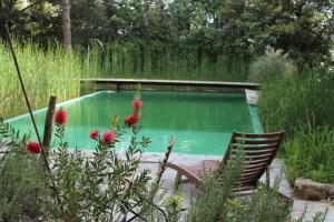 una piscina in un giardino con due sedie e fiori di Il Poggio B&B a Ginestra