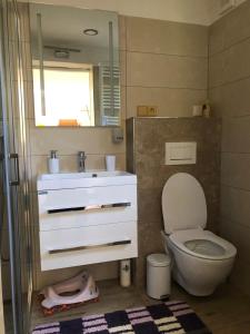 een badkamer met een wastafel, een toilet en een spiegel bij U Dubu in Tábor
