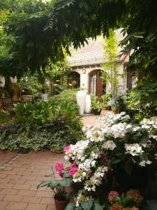 Zahrada ubytování Fährhaus Meißen B&B