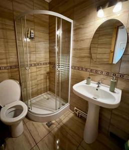 ハツェグにあるVila SOFIAのバスルーム(シャワー、トイレ、シンク付)