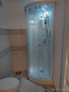 a bathroom with a shower and a toilet at Risveglio al Sole in Ragusa