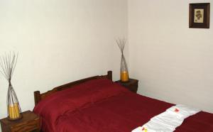 a bedroom with a red bed with two vases at Terrazas al Valle in San Rafael