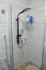 a shower with a shower head in a bathroom at Vastu Dead Sea apartment in Arad +91 photos