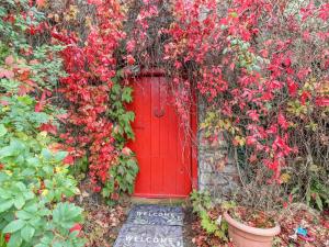 a red door with a bunch of red flowers at Ryan's Loft in Ardfinnan