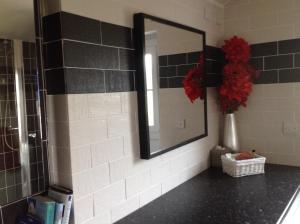 a bathroom with a mirror and a vase with red flowers at Garth Engan Private Self Contained B&B with Garden Area in Llanbedr