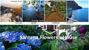 uma colagem de fotos de flores e uma casa em Santana, Flowers's House em Santana