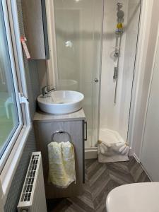 a small bathroom with a sink and a shower at The Warrens - 2 bed caravan for 4 & private hot tub in Swarland