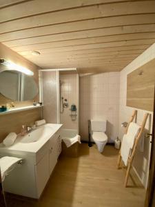 a bathroom with a sink and a toilet at Haus Tirol Ehrwald in Ehrwald