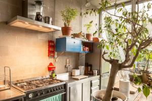 a kitchen with a stove and a tree at Mari's: Multifunctional Shelter with big Garden in Ghent