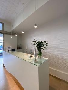 a white counter with a plant in a room at Hostal Pitiusa in Ibiza Town