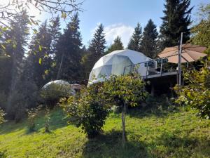 Giardino di Ajara Glamping Kokotauri