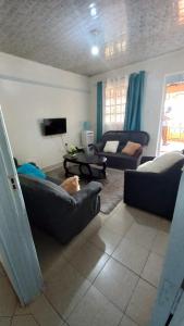 uma sala de estar com um cão deitado num sofá em Golden One-bedroom serviced apartment with free WiFi em Kisii