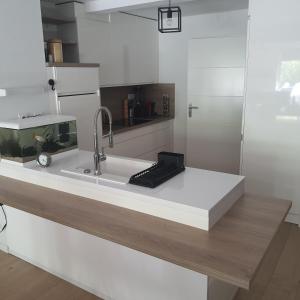 a kitchen with a sink and a fishtank on a counter at Jolie suite parentale, chambre et salle d'eau, avec son coin de verdure à 5 minutes à pied du centre ville in Bordeaux