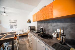 Kuchyň nebo kuchyňský kout v ubytování Apartmán ve Dvoře