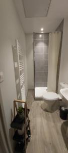 een badkamer met toilet, wastafel en douche bij La Fabrique in Bourg-en-Bresse +4 foto's
