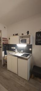 eine Küche mit Spüle und Mikrowelle in der Unterkunft La Fabrique in Bourg-en-Bresse + 4 Fotos