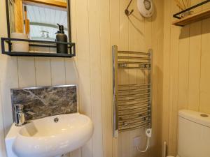 een badkamer met een wastafel en een toilet bij Poppy in Rhayader