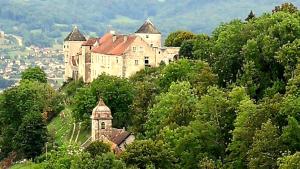 un castillo grande en la cima de una colina con árboles en Charme Le Cadran Solaire classé 4*, en Sancey-le-Long