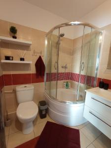 y baño con ducha, aseo y lavamanos. en MK Apartament III, en Rzeszów