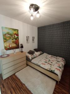 1 dormitorio con 1 cama y una pintura en la pared en MK Apartament III, en Rzeszów