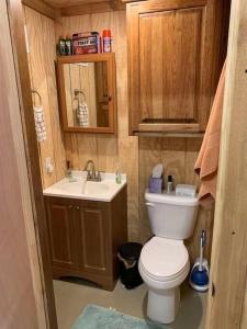 een kleine badkamer met een toilet en een wastafel bij Wilderness Roost on Lake Godstone in Jacksboro