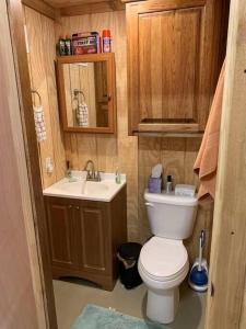 Un baño pequeño con inodoro y lavabo. en Wilderness Roost on Lake Godstone, en Jacksboro