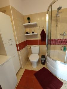 Un baño con inodoro, ducha y lavabo. en MK Apartament III, en Rzeszów